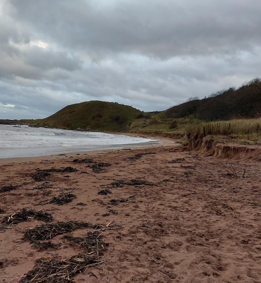 Coldingham bay