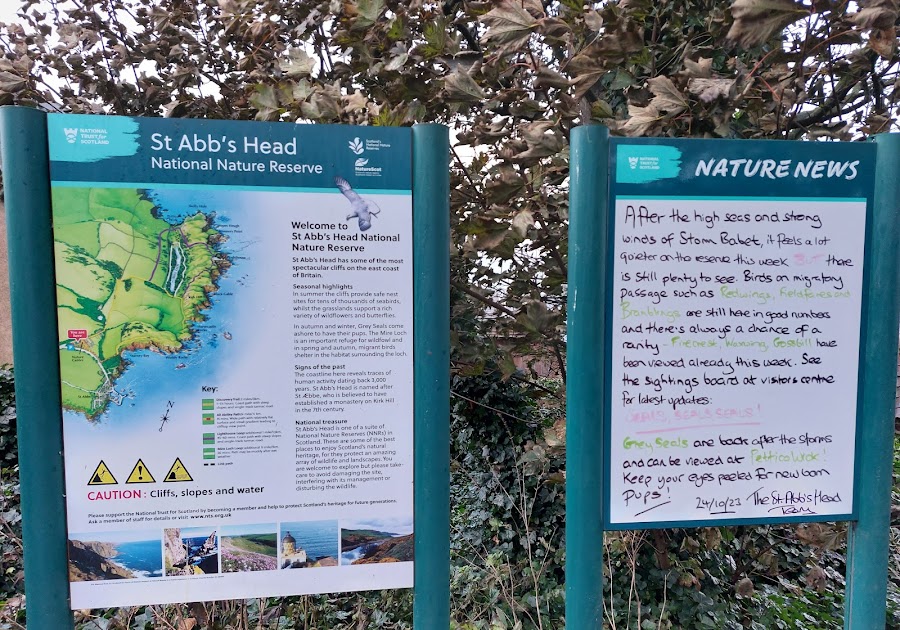 Starney Bay signage