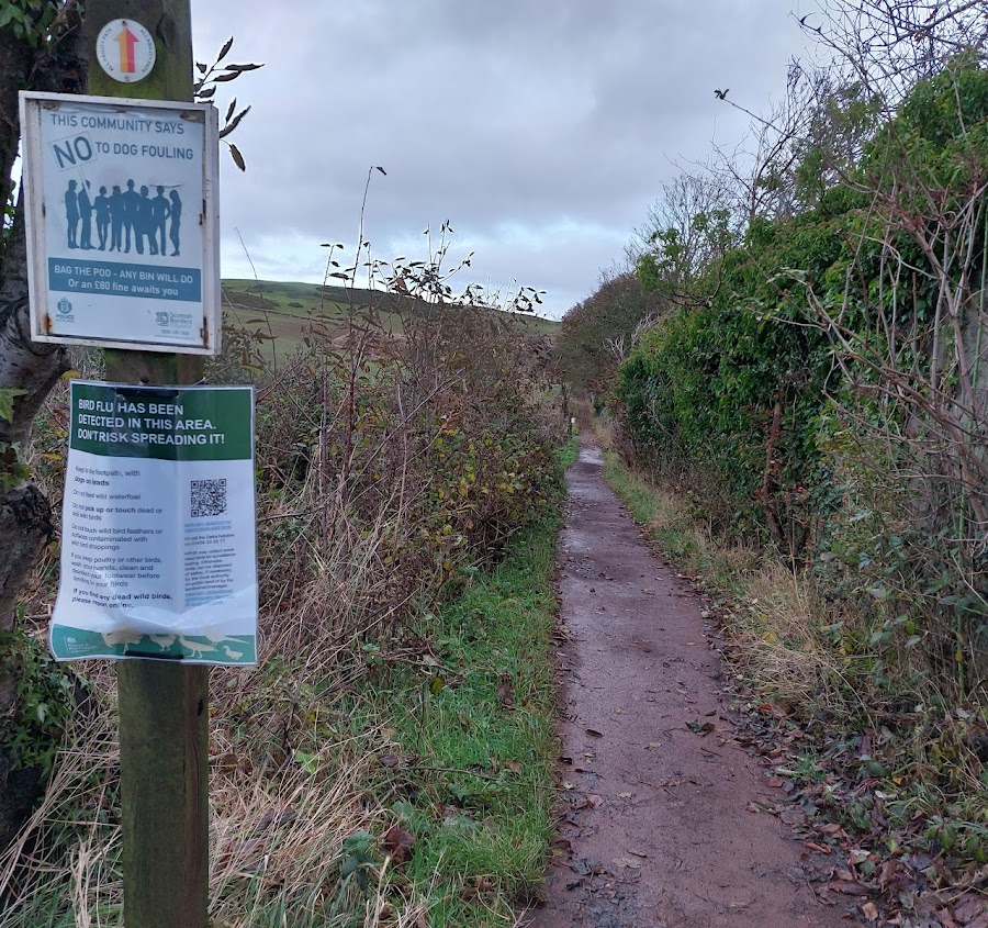 Starney bay path