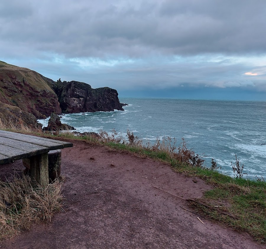 Starney bay bench and path