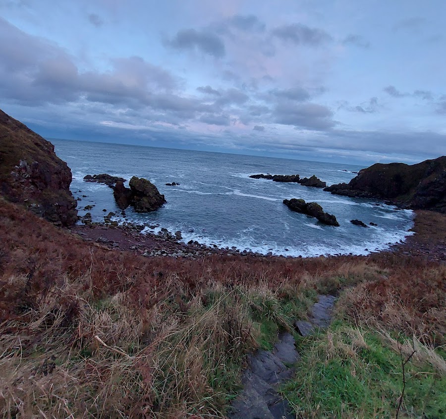 Starney bay