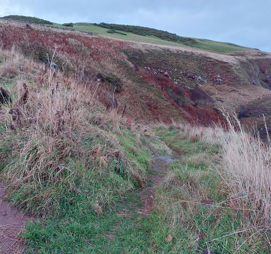 Starney bay