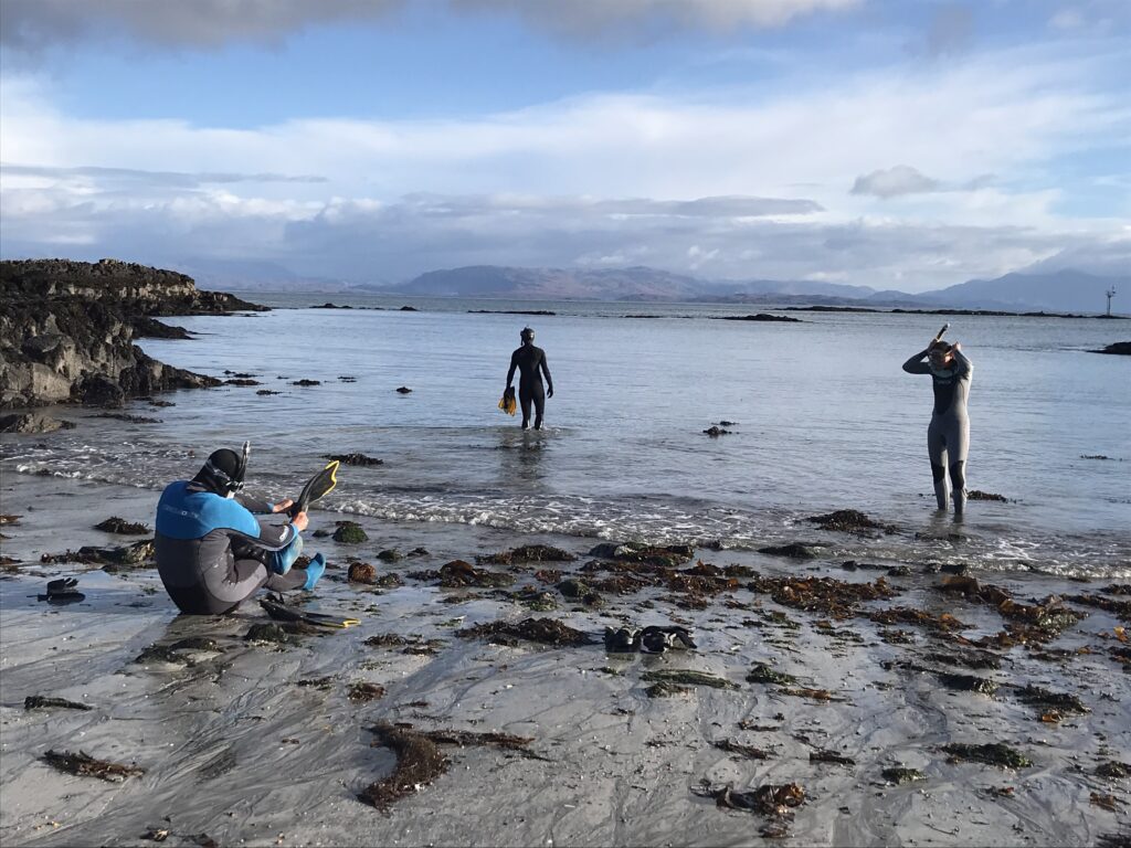Snorkellers on Galmisdale Bay